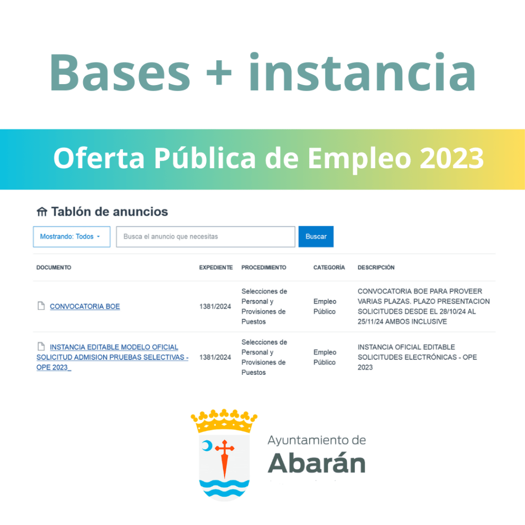 Bases instancia